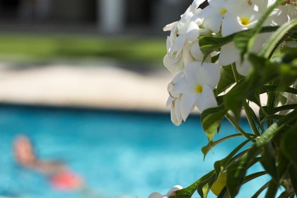 Goudhaen Luxury Private Apartments Jan Thiel Beach Екстериор снимка